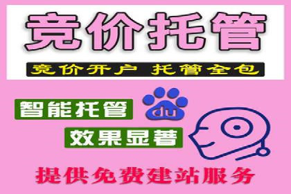 竞价广告赚钱：百度平台成功案例分析