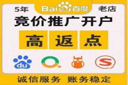 百度运营推广全攻略：成功案例深度剖析